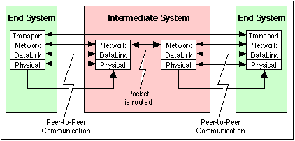 peer-layer